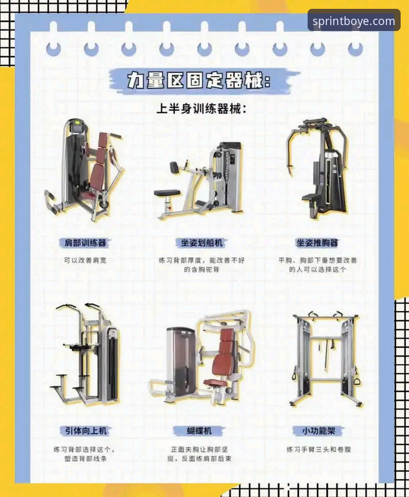 博业体育官网最新功能介绍指南：从入门到精通的专业使用手册